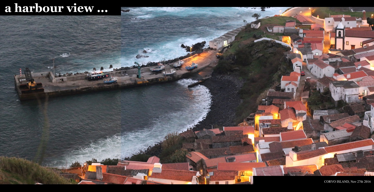 harbour 003